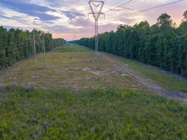 Land for sale in Samson, Geneva County