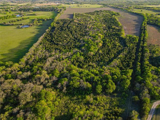 Land for sale in Fannin, Texas