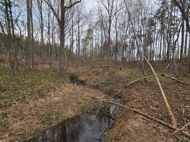 Land for sale in Virginia