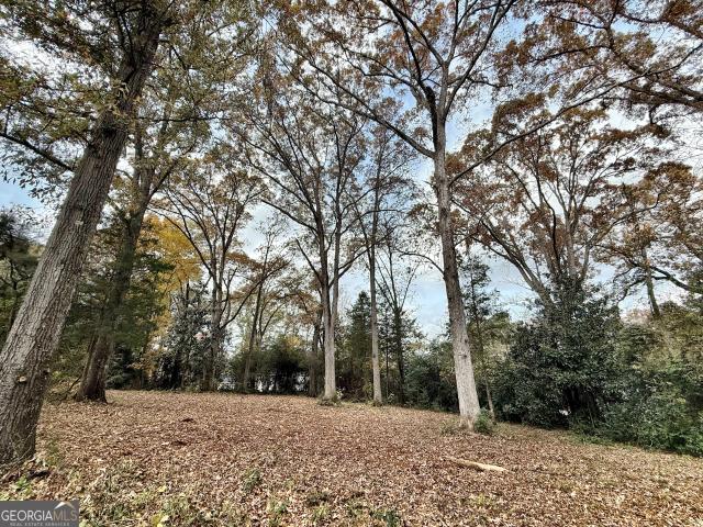 Land for sale in Forsyth, Georgia