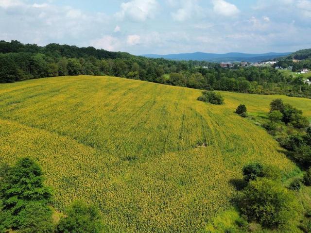 Land for sale in Orwigsburg, Schuylkill County