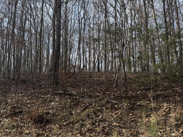 Land for sale in Tennessee