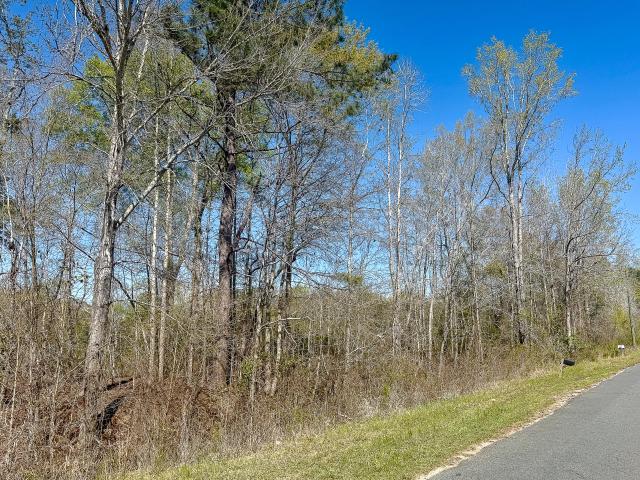 Property for sale in Denmark, South Carolina