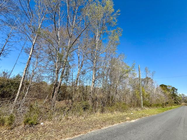 Land for sale in Denmark, South Carolina