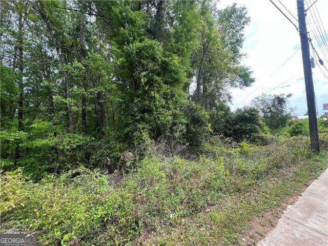 Land for sale in Americus, Georgia