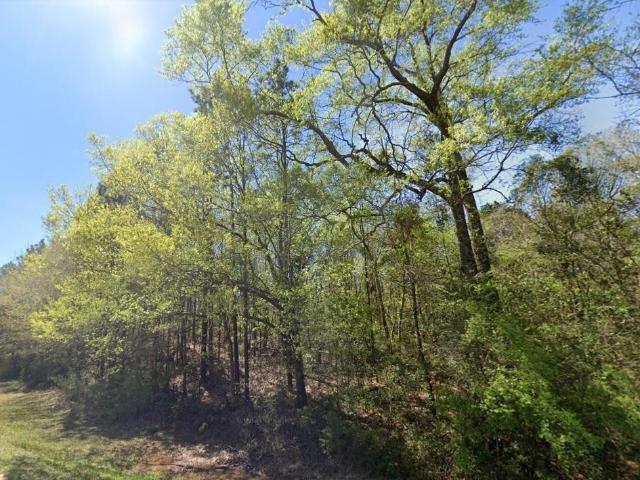 Property for sale in Wiggins, Mississippi