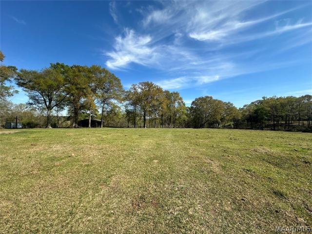 Land for sale in Brundidge, Alabama