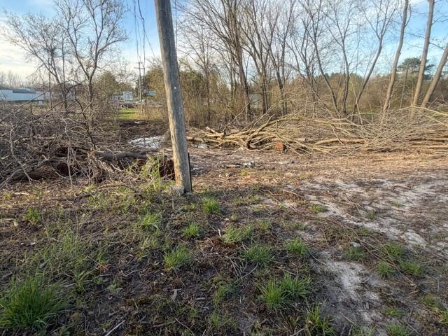 Land for sale in Grant, Michigan
