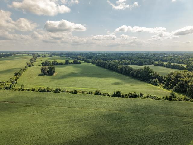 Farm for sale in Brims Corner, Alamo