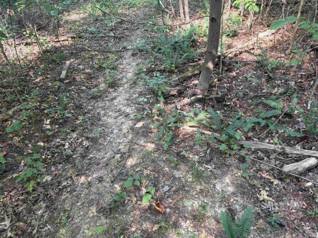 Land for sale in English, Indiana