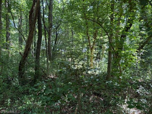 Land for sale in Jonesville, Yadkin County