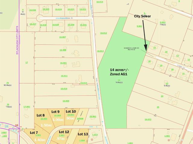 Land for sale in Alpine, Alabama