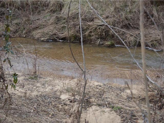 Land for sale in Gilmer, Georgia
