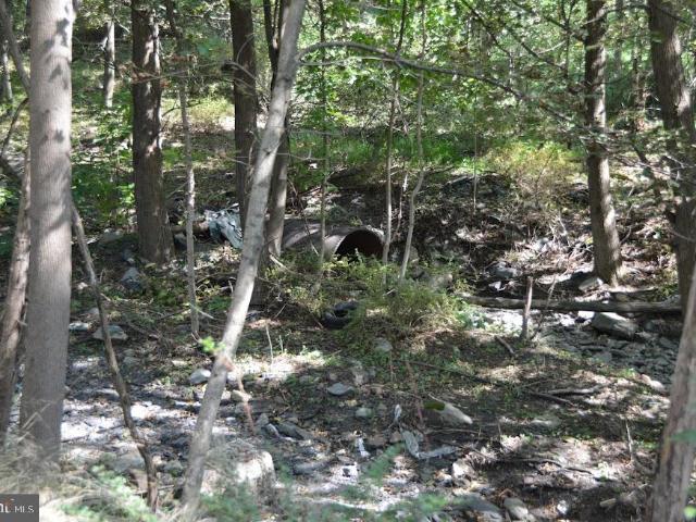 Land for sale in Shenandoah, Pennsylvania