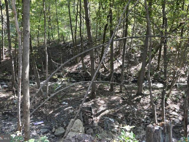 Land for sale in Shenandoah, Pennsylvania