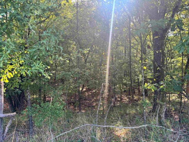 Land for sale in Byhalia, Mississippi