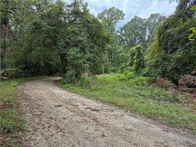 Land for sale in Angie, Louisiana