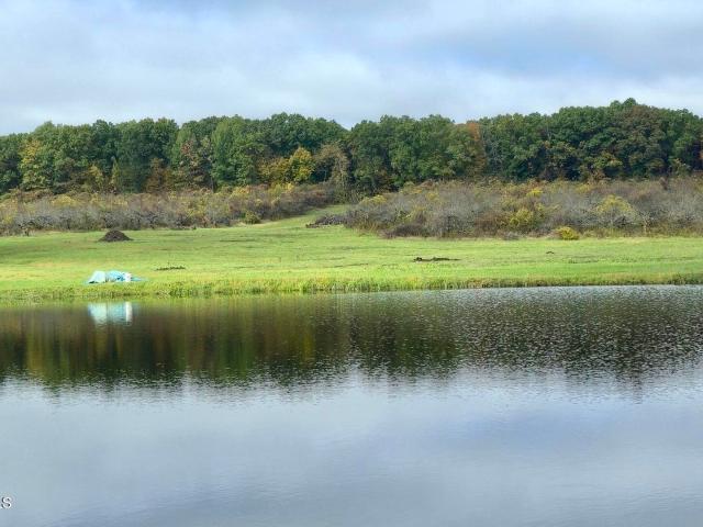 Land for sale in Modena, Town of Plattekill