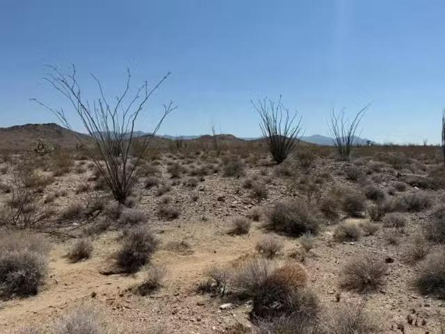 House for rent in Kingman, Arizona