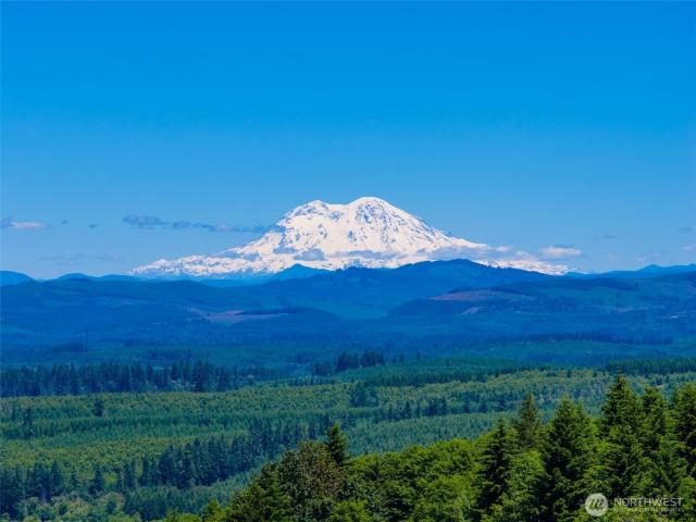 Land for sale in Castle Rock, Washington