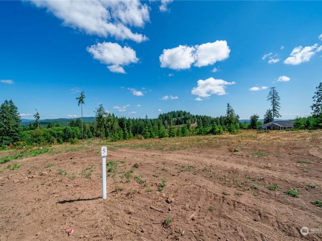 Land for sale in Castle Rock, Washington