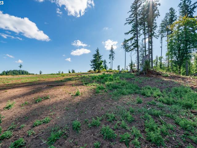 Land for sale in Castle Rock, Washington