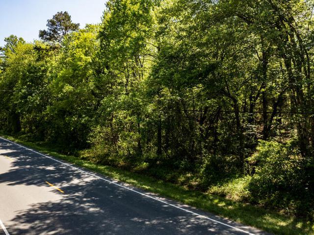 Land for sale in Alamance, North Carolina