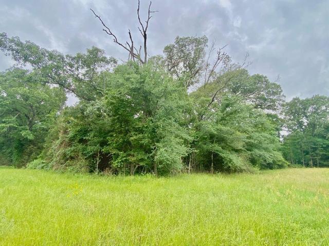 Land for sale in Elkhart, Texas