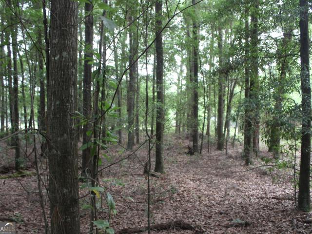 Land for sale in Oglethorpe, Macon County