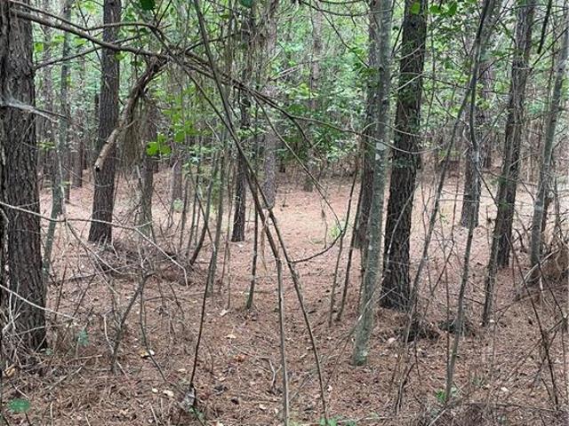 Land for sale in Stokes, North Carolina
