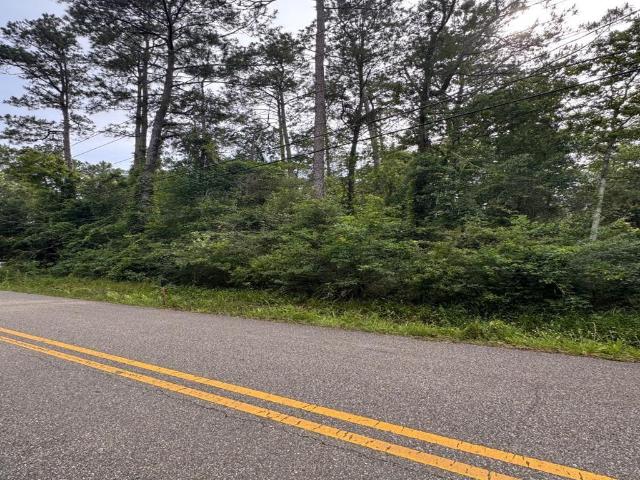 Land for sale in Lacombe, Louisiana