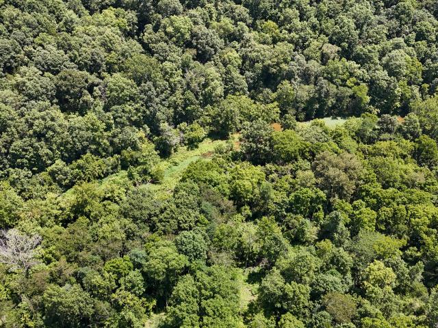 Land for sale in Owenton, Kentucky