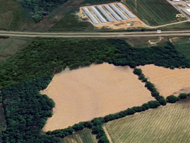 Land for sale in Newville, Alabama