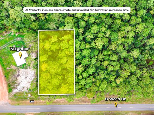 Land for sale in Geneva, Alabama