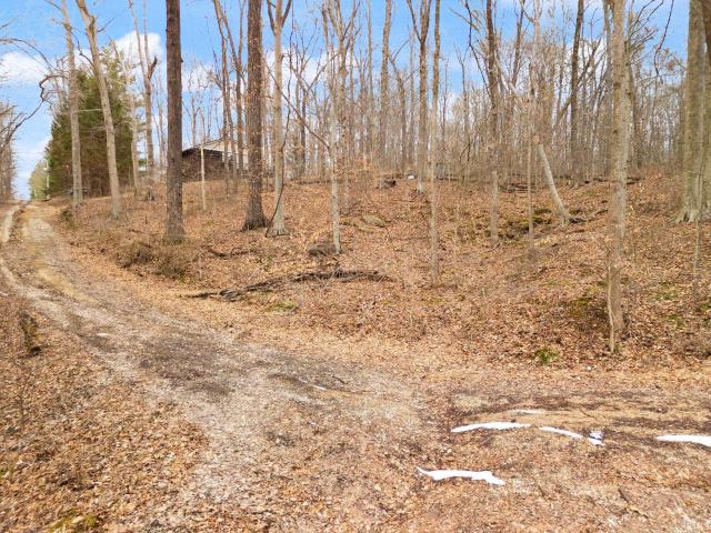 Land for sale in Paoli, Indiana
