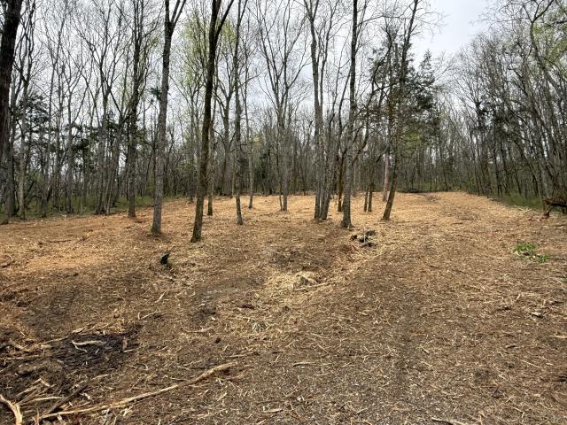 Land for sale in Tennessee