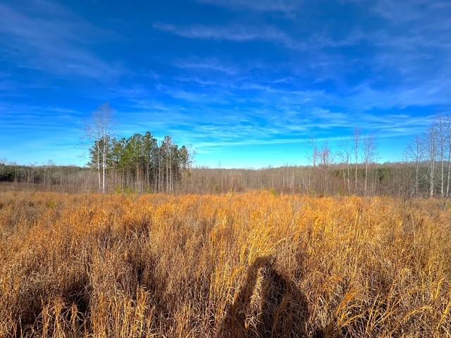 Land for sale in Tennessee