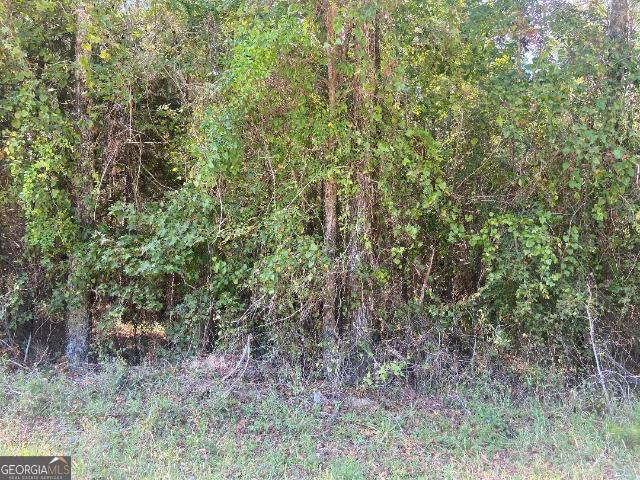 Land for sale in Crawfordville, Georgia