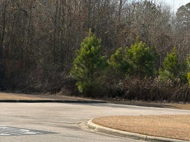 Land for sale in Dunn, North Carolina