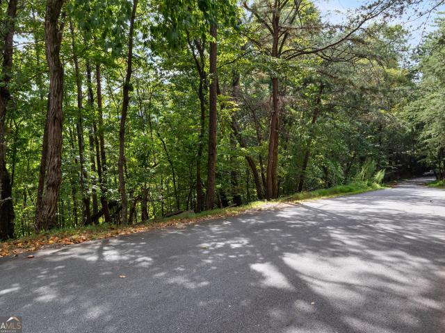 Land for sale in Georgia