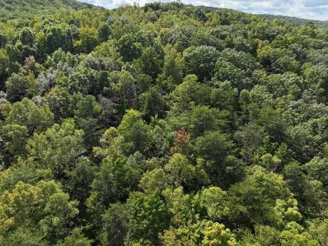 Land for sale in Stuart, Patrick County