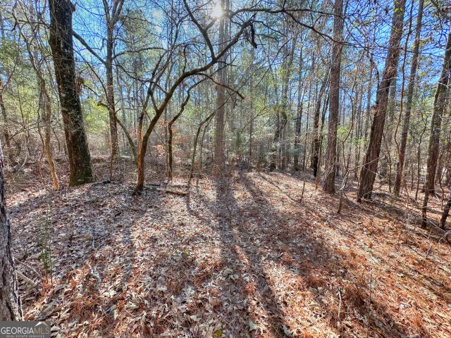 Land for sale in Pine Mountain, Georgia