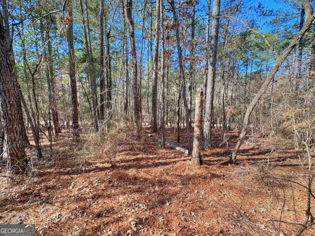 Land for sale in Pine Mountain, Georgia
