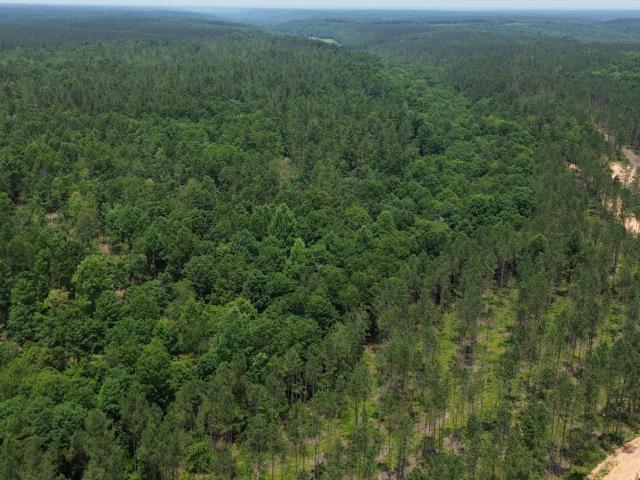 Land for sale in Tennessee