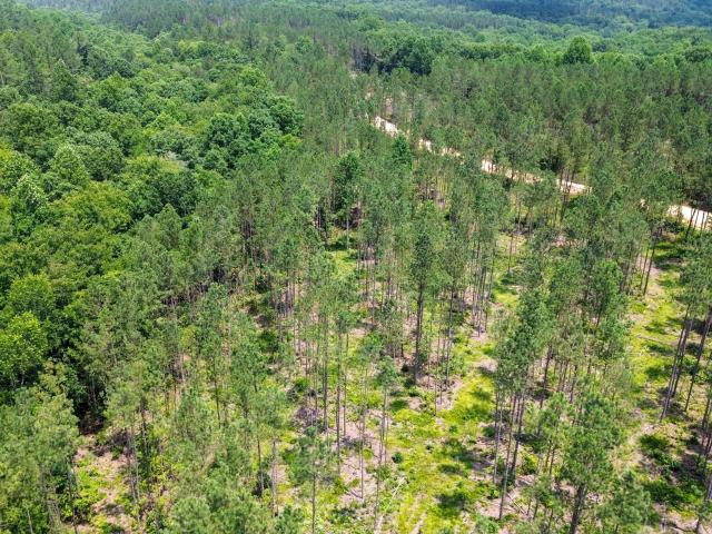 Land for sale in Tennessee