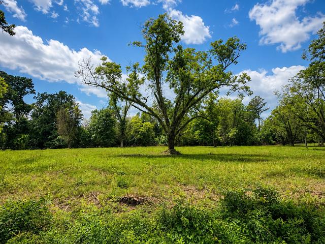 Land for sale in Pine Mountain, Georgia