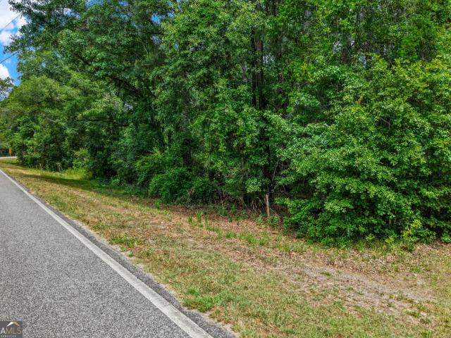 Land for sale in Boston, Georgia