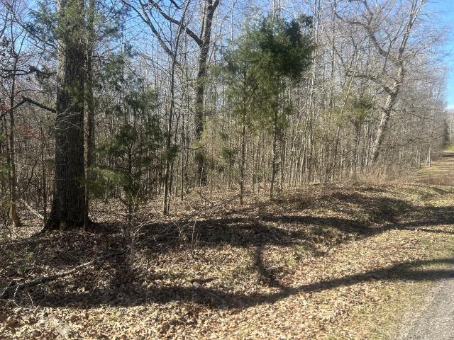 Land for sale in Tennessee