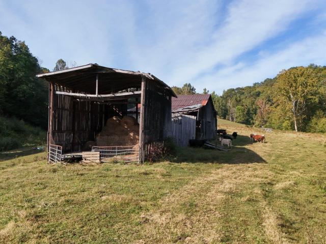 Land for sale in Clinchport, Scott County