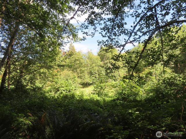 Property for sale in Mossyrock, Washington
